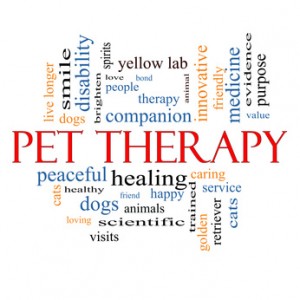 Therapy Dog Training